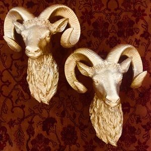 Gold Rams Heads - for your boho home! 🌞